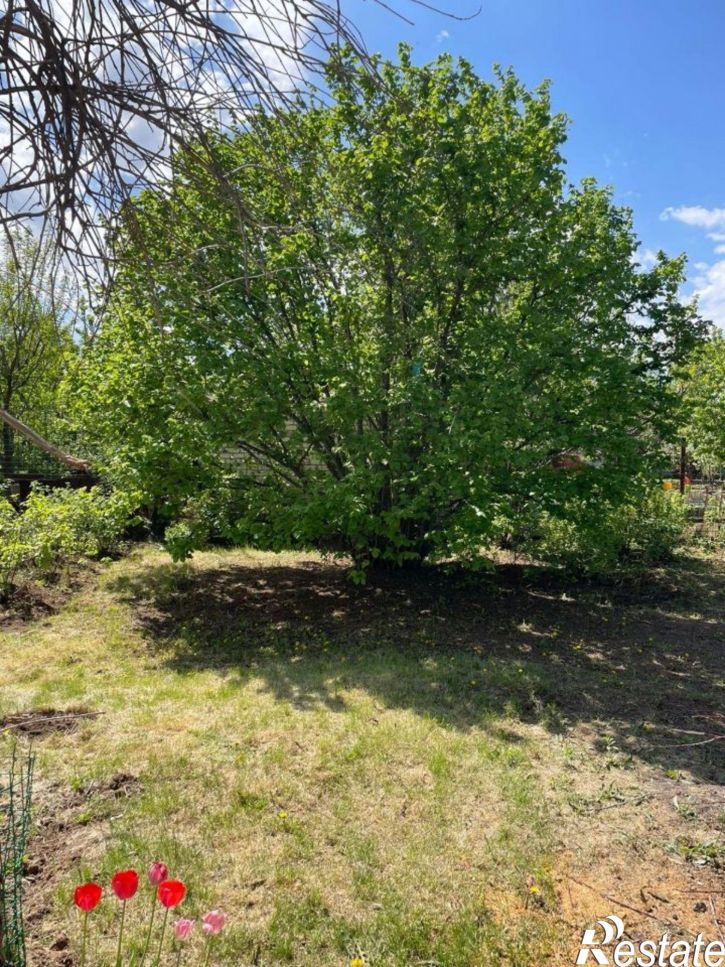 Коттедж/дом СНТ Волга