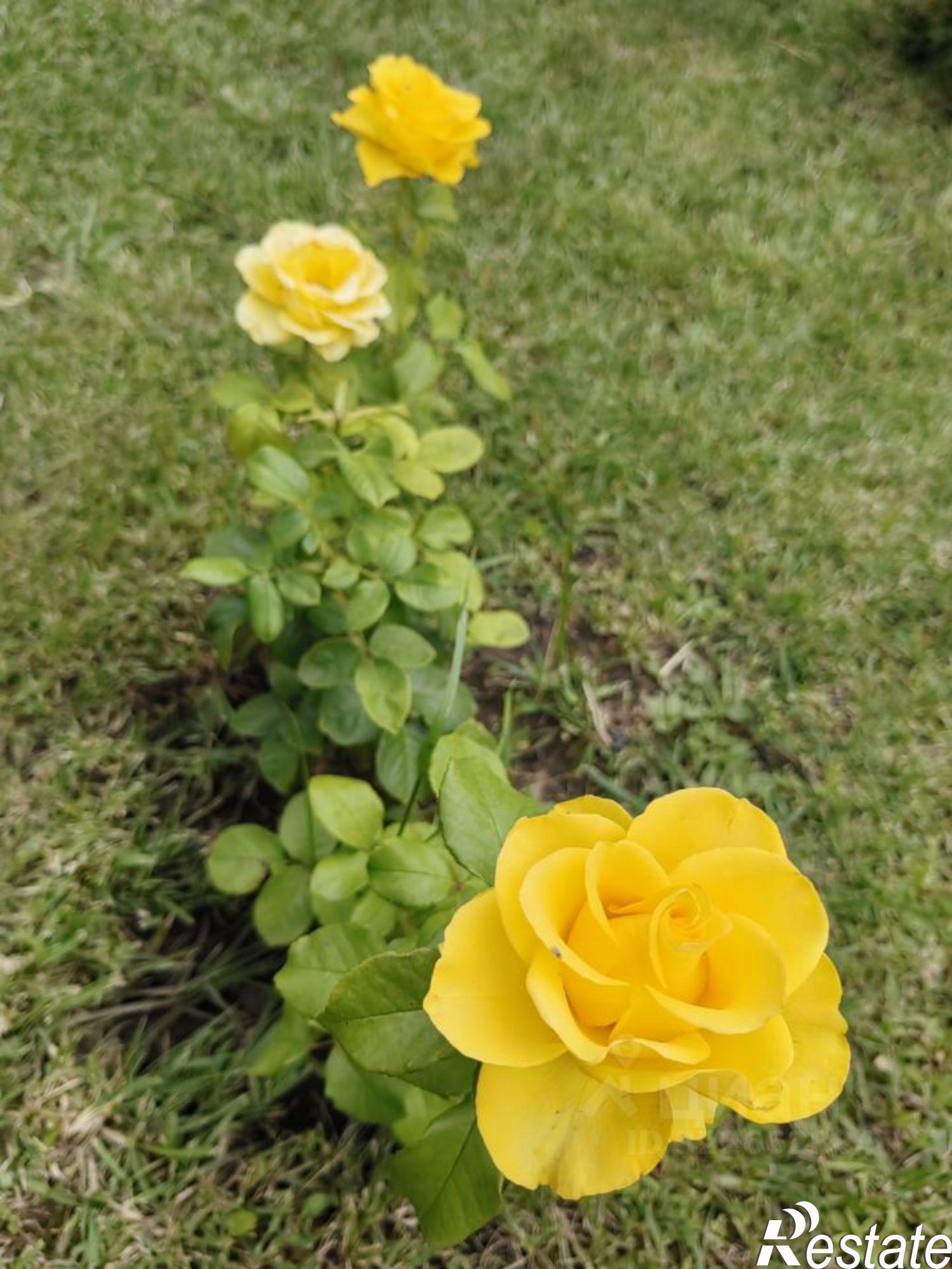 Купить дачу, дом, коттедж за 4 850 000 рублей на Озёрная улица