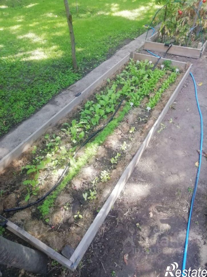 Коттедж/дом