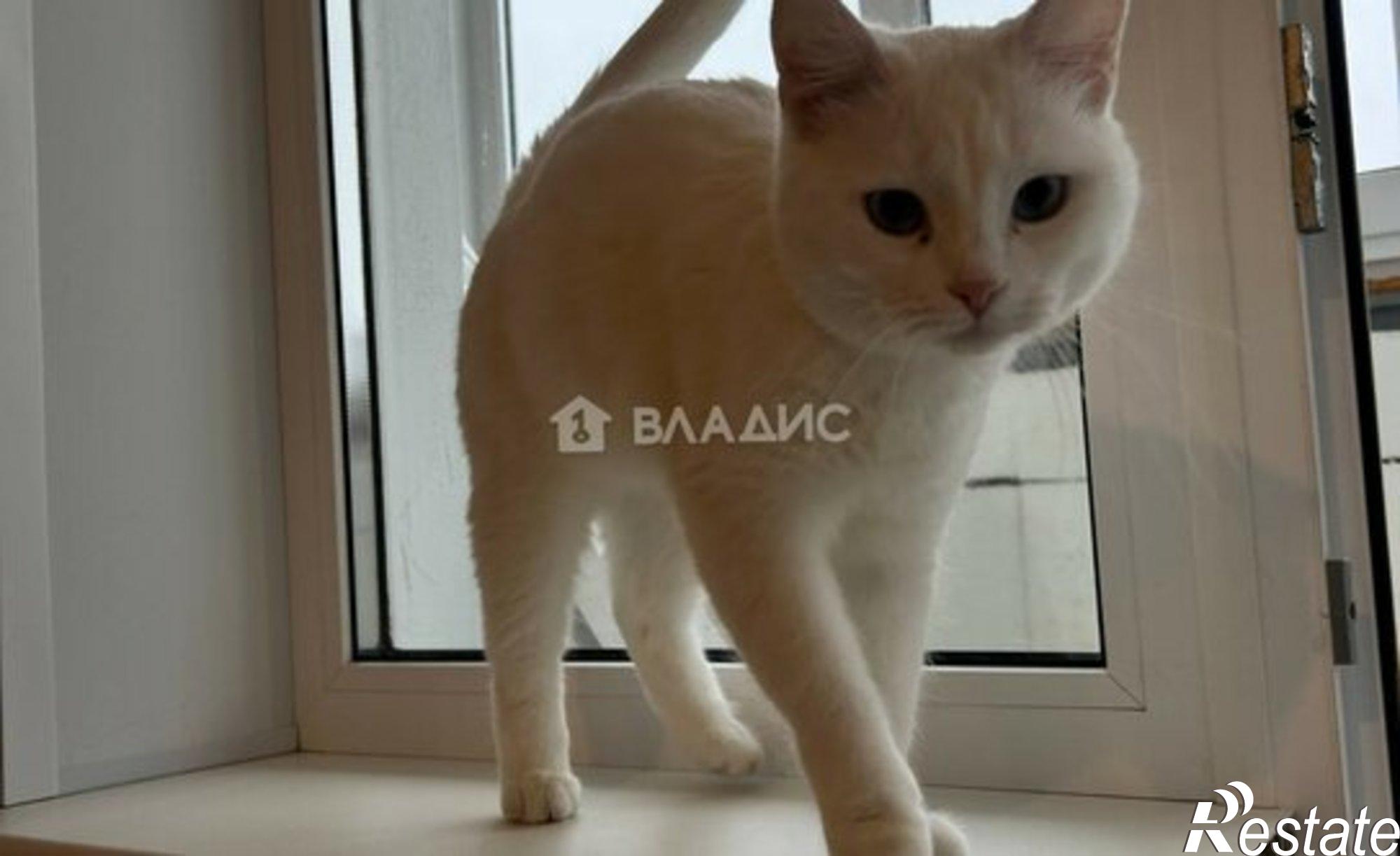 Купить квартиру за 3 780 000 рублей на пр-кт им Ленина, 345