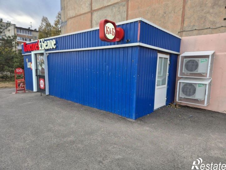 Торговое помещение улица 87-й Гвардейской Дивизии, 45,  д. 45